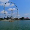 ［SFC旅・第２弾 シンガポール＋沖縄］ ⑥ シンガポール・フライヤーからの絶景、フードオペラでランチ